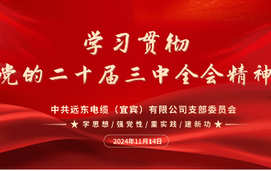 守正創(chuàng)新 踔厲奮發(fā)｜遠(yuǎn)東電纜（宜賓）開展學(xué)習(xí)貫徹黨的二十屆三中全會(huì)精神主題黨日活動(dòng)