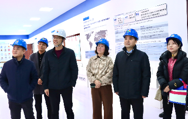 陽(yáng)光電源股份、宜賓智能制造行業(yè)協(xié)會(huì)、宜賓安徽商會(huì)調(diào)研遠(yuǎn)東電纜（宜賓）